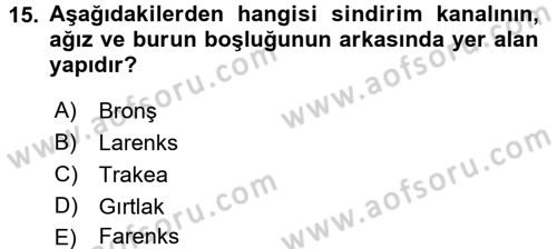 Tıp Terimleri Dersi 2017 - 2018 Yılı (Vize) Ara Sınavı 15. Soru