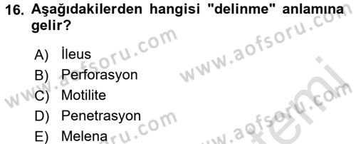 Tıp Terimleri Dersi 2017 - 2018 Yılı (Vize) Ara Sınav Soruları 16. Soru
