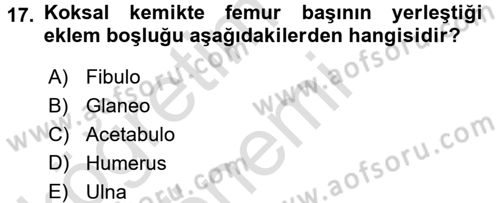 Tıp Terimleri Dersi Ara Sınavı Deneme Sınav Soruları 17. Soru