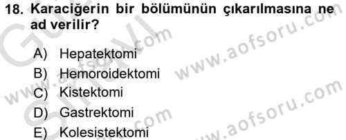Tıp Terimleri Dersi Ara Sınavı Deneme Sınav Soruları 18. Soru