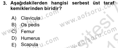 Tıp Terimleri Dersi 2017 - 2018 Yılı (Vize) Ara Sınav Soruları 3. Soru
