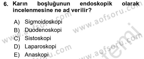 Tıp Terimleri Dersi Ara Sınavı Deneme Sınav Soruları 6. Soru