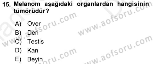 Tıp Terimleri Dersi 2017 - 2018 Yılı (Final) Dönem Sonu Sınav Soruları 15. Soru