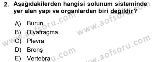 Tıp Terimleri Dersi 2017 - 2018 Yılı (Final) Dönem Sonu Sınav Soruları 2. Soru