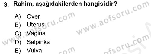 Tıp Terimleri Dersi 2017 - 2018 Yılı (Final) Dönem Sonu Sınav Soruları 3. Soru