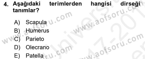 Tıp Terimleri Dersi 2017 - 2018 Yılı (Final) Dönem Sonu Sınav Soruları 4. Soru
