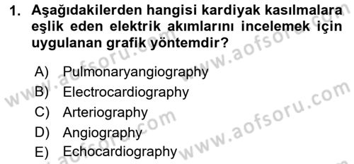 Tıp Terimleri Dersi 2018 - 2019 Yılı 3 Ders Sınavı 1. Soru