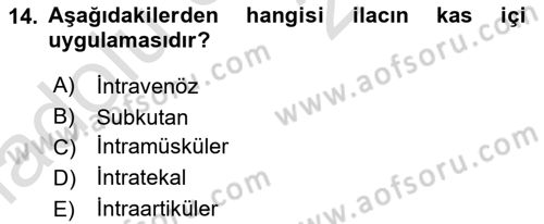 Tıp Terimleri Dersi 2018 - 2019 Yılı 3 Ders Sınavı 14. Soru