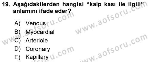 Tıp Terimleri Dersi 2018 - 2019 Yılı 3 Ders Sınavı 19. Soru