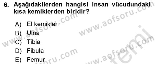 Tıp Terimleri Dersi 2018 - 2019 Yılı 3 Ders Sınavı 6. Soru