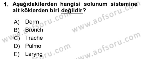 Tıp Terimleri Dersi 2018 - 2019 Yılı (Vize) Ara Sınav Soruları 1. Soru