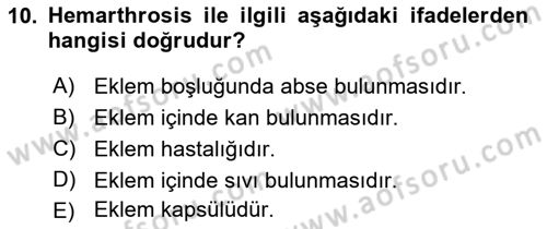 Tıp Terimleri Dersi 2018 - 2019 Yılı (Vize) Ara Sınav Soruları 10. Soru