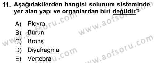 Tıp Terimleri Dersi 2018 - 2019 Yılı (Vize) Ara Sınav Soruları 11. Soru
