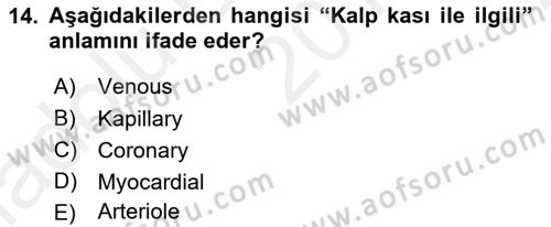 Tıp Terimleri Dersi Ara Sınavı Deneme Sınav Soruları 14. Soru