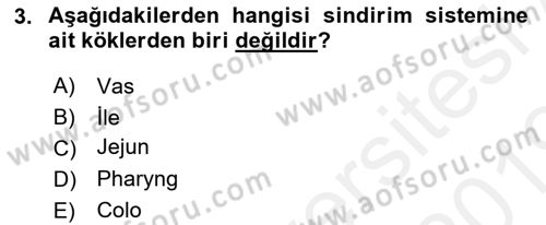 Tıp Terimleri Dersi Ara Sınavı Deneme Sınav Soruları 3. Soru