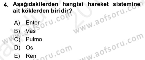 Tıp Terimleri Dersi 2018 - 2019 Yılı (Vize) Ara Sınav Soruları 4. Soru