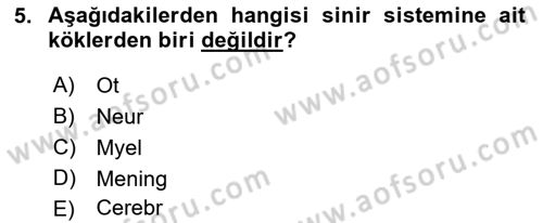Tıp Terimleri Dersi 2018 - 2019 Yılı (Vize) Ara Sınav Soruları 5. Soru