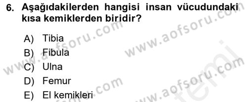 Tıp Terimleri Dersi 2018 - 2019 Yılı (Vize) Ara Sınav Soruları 6. Soru