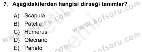Tıp Terimleri Dersi 2018 - 2019 Yılı (Vize) Ara Sınav Soruları 7. Soru