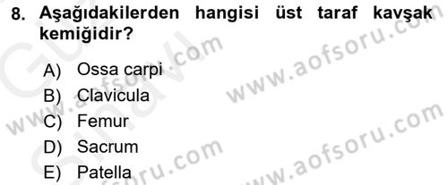 Tıp Terimleri Dersi 2018 - 2019 Yılı (Vize) Ara Sınavı 8. Soru