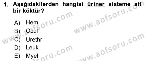 Tıp Terimleri Dersi 2018 - 2019 Yılı (Final) Dönem Sonu Sınav Soruları 1. Soru