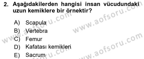 Tıp Terimleri Dersi 2018 - 2019 Yılı (Final) Dönem Sonu Sınav Soruları 2. Soru