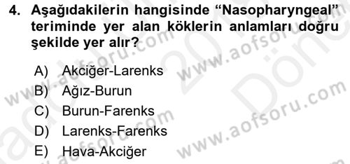 Tıp Terimleri Dersi 2018 - 2019 Yılı (Final) Dönem Sonu Sınav Soruları 4. Soru