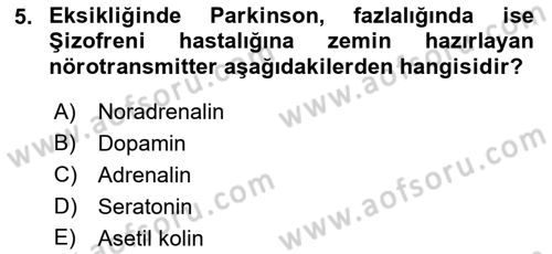 Tıp Terimleri Dersi 2018 - 2019 Yılı (Final) Dönem Sonu Sınav Soruları 5. Soru
