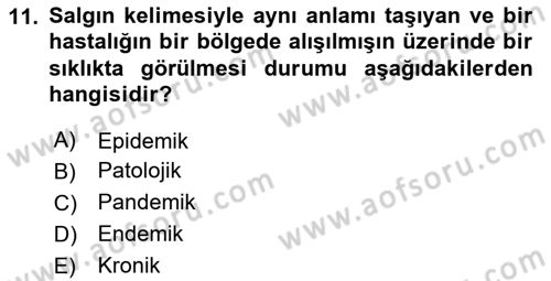 Tıp Terimleri Dersi 2018 - 2019 Yılı Yaz Okulu Sınav Soruları 11. Soru