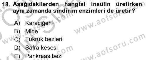 Tıp Terimleri Dersi 2018 - 2019 Yılı Yaz Okulu Sınav Soruları 18. Soru