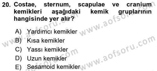 Tıp Terimleri Dersi 2018 - 2019 Yılı Yaz Okulu Sınav Soruları 20. Soru