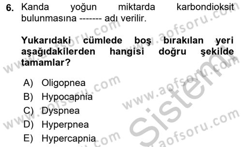 Tıp Terimleri Dersi 2018 - 2019 Yılı Yaz Okulu Sınav Soruları 6. Soru