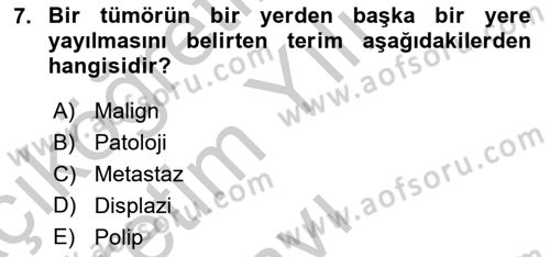 Tıp Terimleri Dersi 2018 - 2019 Yılı Yaz Okulu Sınav Soruları 7. Soru