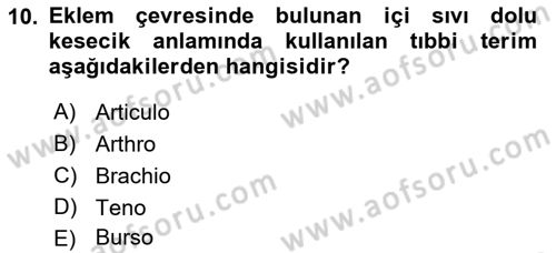 Tıp Terimleri Dersi 2019 - 2020 Yılı (Vize) Ara Sınav Soruları 10. Soru