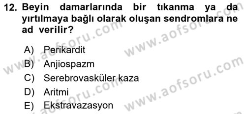 Tıp Terimleri Dersi 2019 - 2020 Yılı (Vize) Ara Sınav Soruları 12. Soru