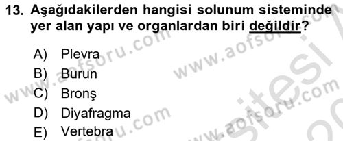 Tıp Terimleri Dersi Ara Sınavı Deneme Sınav Soruları 13. Soru