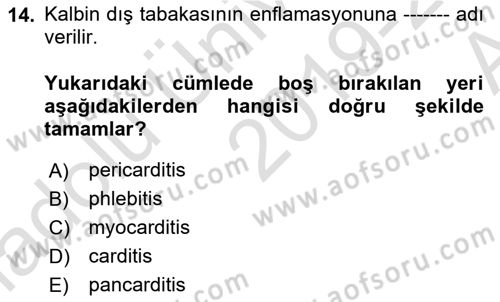 Tıp Terimleri Dersi 2019 - 2020 Yılı (Vize) Ara Sınav Soruları 14. Soru
