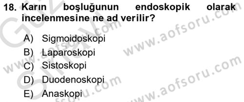 Tıp Terimleri Dersi 2019 - 2020 Yılı (Vize) Ara Sınav Soruları 18. Soru