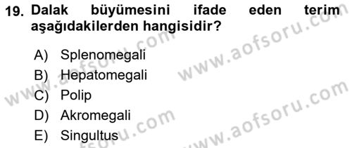 Tıp Terimleri Dersi 2019 - 2020 Yılı (Vize) Ara Sınav Soruları 19. Soru