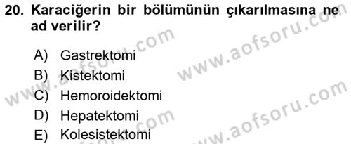 Tıp Terimleri Dersi 2019 - 2020 Yılı (Vize) Ara Sınav Soruları 20. Soru