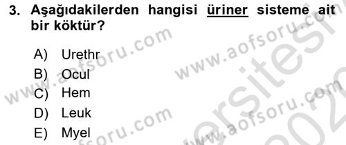 Tıp Terimleri Dersi Ara Sınavı Deneme Sınav Soruları 3. Soru