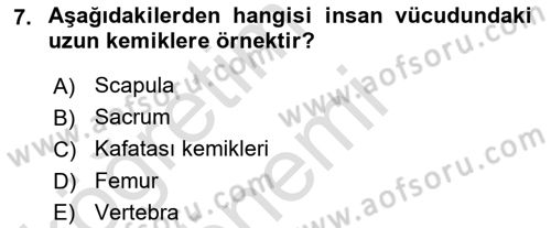 Tıp Terimleri Dersi 2019 - 2020 Yılı (Vize) Ara Sınav Soruları 7. Soru