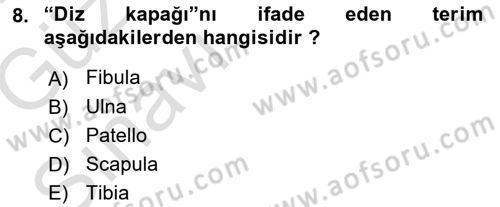 Tıp Terimleri Dersi 2019 - 2020 Yılı (Vize) Ara Sınav Soruları 8. Soru