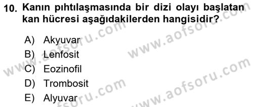 Tıp Terimleri Dersi 2019 - 2020 Yılı (Final) Dönem Sonu Sınav Soruları 10. Soru