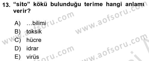 Tıp Terimleri Dersi 2019 - 2020 Yılı (Final) Dönem Sonu Sınav Soruları 13. Soru