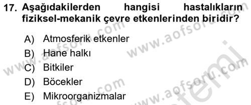 Tıp Terimleri Dersi 2019 - 2020 Yılı (Final) Dönem Sonu Sınav Soruları 17. Soru