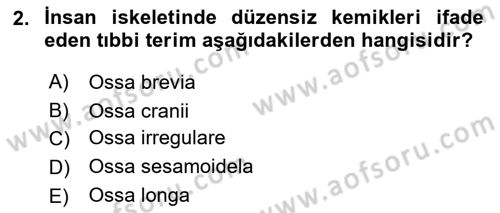 Tıp Terimleri Dersi 2019 - 2020 Yılı (Final) Dönem Sonu Sınavı 2. Soru