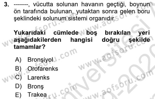 Tıp Terimleri Dersi 2019 - 2020 Yılı (Final) Dönem Sonu Sınavı 3. Soru