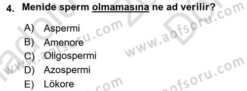Tıp Terimleri Dersi 2019 - 2020 Yılı (Final) Dönem Sonu Sınav Soruları 4. Soru