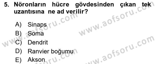 Tıp Terimleri Dersi 2019 - 2020 Yılı (Final) Dönem Sonu Sınav Soruları 5. Soru
